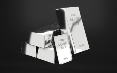 2025 Silver Outlook: What Illinois Residents Should Know Before Buying and Selling Silver